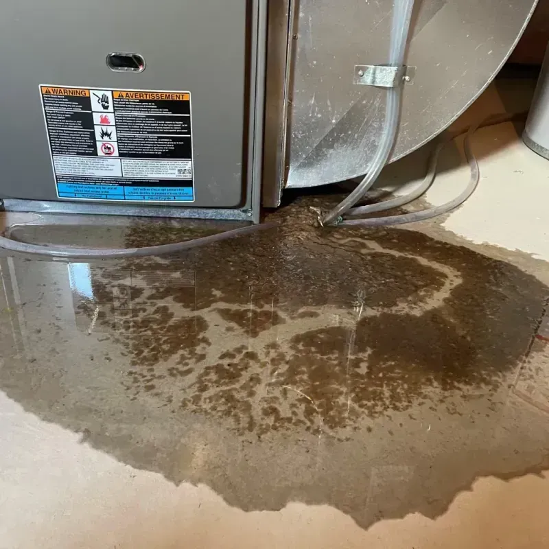 Appliance Leak Cleanup in Homer, NY